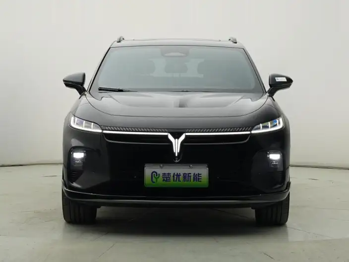 VOYAH Zhiyin 2024 Model Long Battery Life Pro Supercharged version
