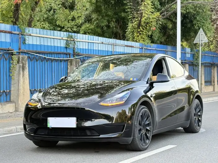 Model Y 2022 Model Facelift Rear-wheel drive version