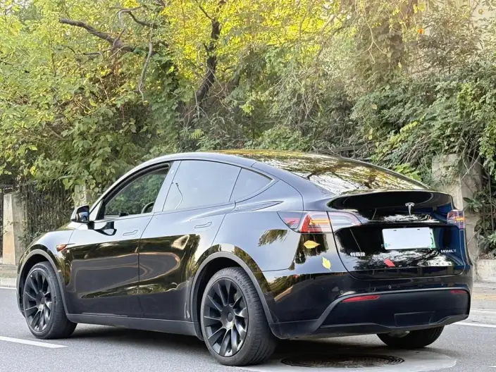Model Y 2022 Model Facelift Rear-wheel drive version – фото 5