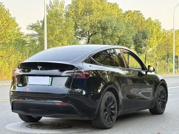 Model Y 2022 Model Facelift Rear-wheel drive version – фото 7