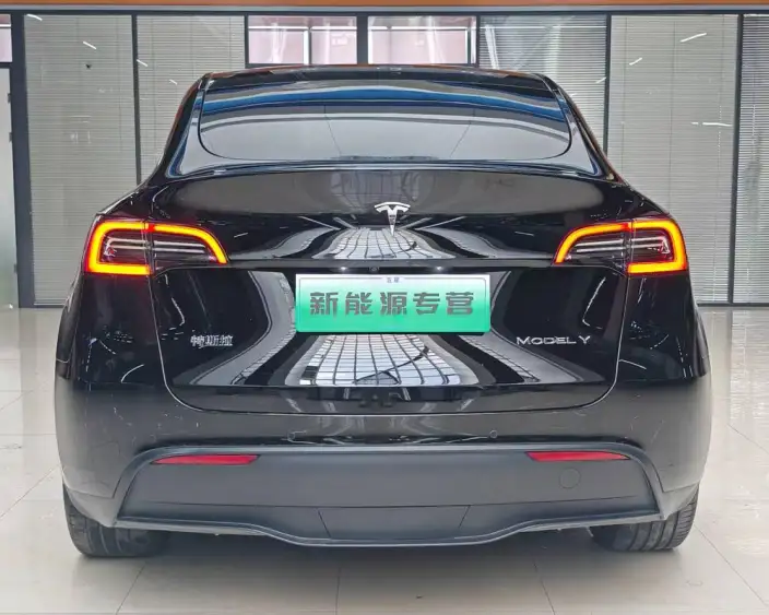 Model Y 2022 Model Facelift Rear-wheel drive version – фото 5