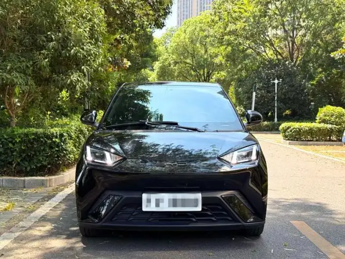 BYD Seagull 2023 Model Feixiang Edition – фото 2