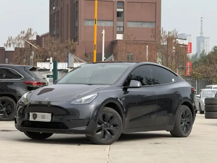 Model Y 2024 Model Long Battery Life Pro All-wheel drive version – фото 1