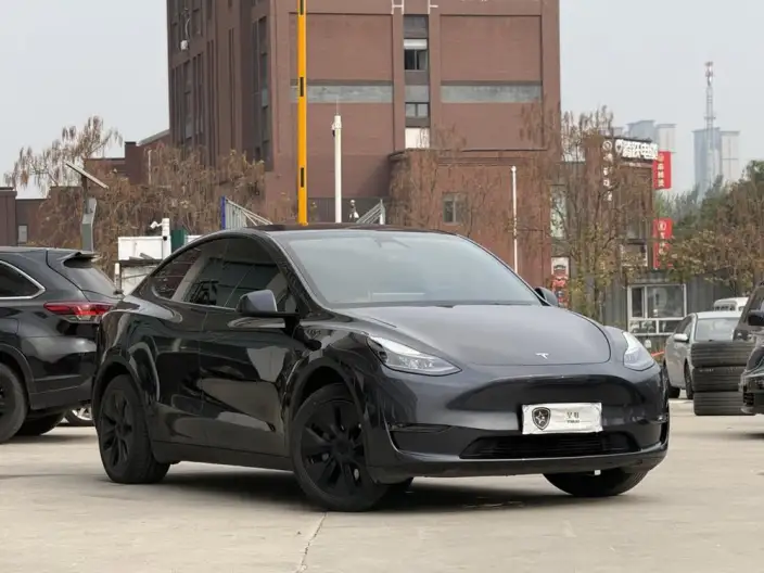 Model Y 2024 Model Long Battery Life Pro All-wheel drive version – фото 3