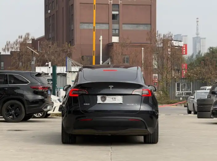 Model Y 2024 Model Long Battery Life Pro All-wheel drive version – фото 6