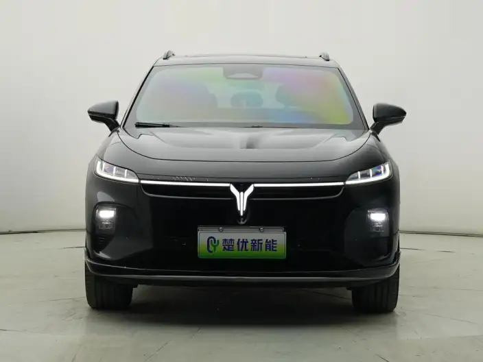 VOYAH Zhiyin 2024 Model Long Battery Life Pro Supercharged version