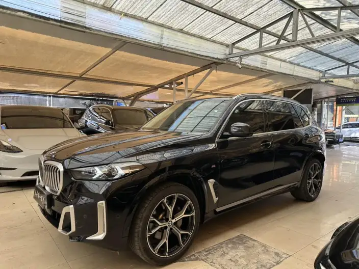 BMW X5 2023 Model xDrive30Li Exclusive Model M Sports Set – фото 1