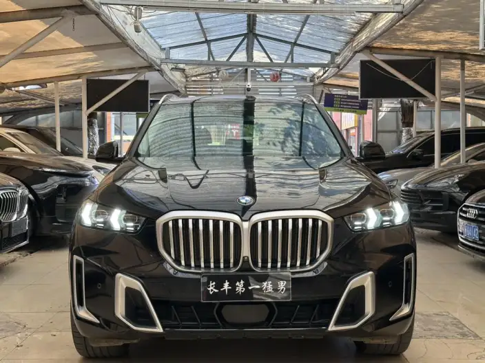 BMW X5 2023 Model xDrive30Li Exclusive Model M Sports Set – фото 2