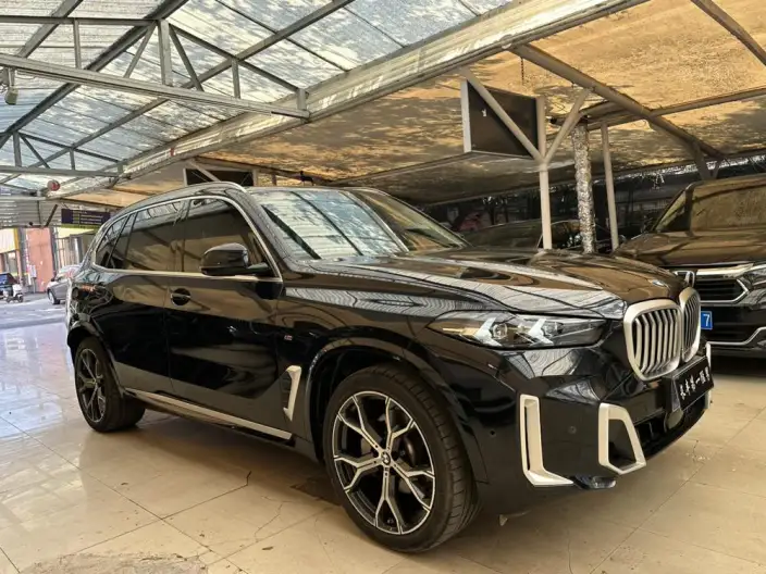 BMW X5 2023 Model xDrive30Li Exclusive Model M Sports Set – фото 3