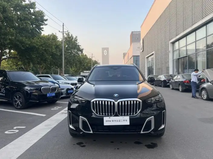 BMW X5 2023 Model xDrive30Li M Sports Set – фото 2