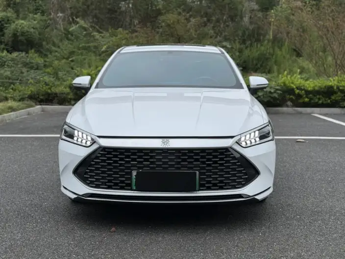 BYD Qin PLUS DM 2021 Model DM-i 55KM Flagship Model – фото 2