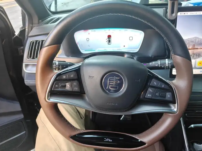 BYD Tang DM 2021 Model DM-i 1.5T 112KM Zunrong Model – фото 7