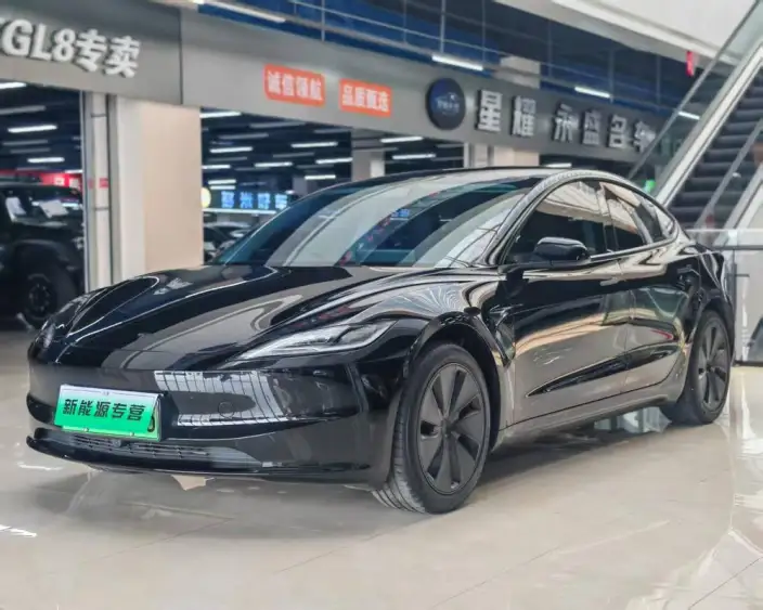 Model 3 2025 Model Facelift Rear-wheel drive version – фото 1