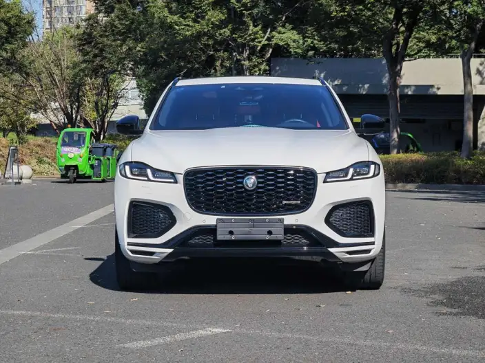 Jaguar F-PACE 2024 Model P250 R-Dynamic S – фото 2