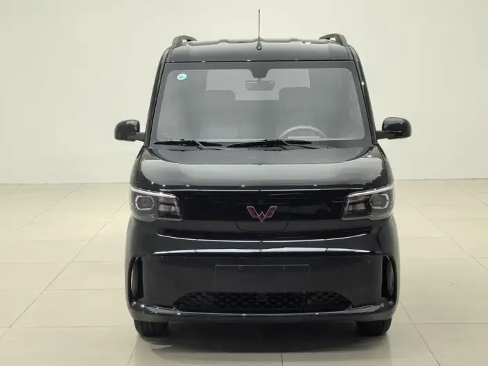 WULING Sunshine EV 2025 Model Enterprising Model