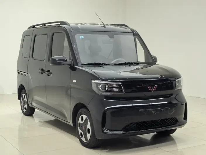 WULING Sunshine EV 2025 Model Enterprising Model