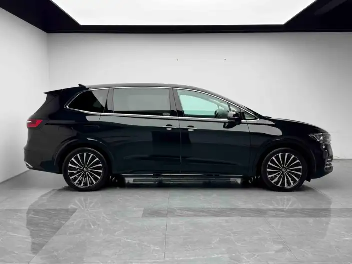 Viloran 2024 Model 380TSI Premium Edition – фото 8