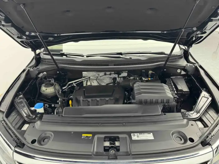 Viloran 2024 Model 380TSI Premium Edition – фото 10