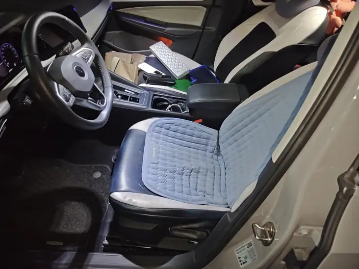 Volkswagen Golf 2021 Model 280TSI DSG Pro – фото 10