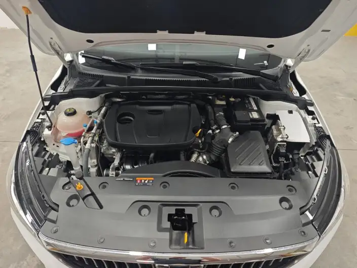 Geely Emgrand 2023 Model No. 4 Gen Champion Edition 1.5L CVT Flagship Model – фото 10