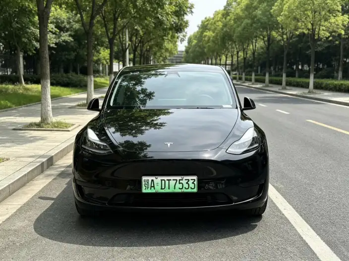 Model Y 2022 Model Facelift Rear-wheel drive version – фото 2