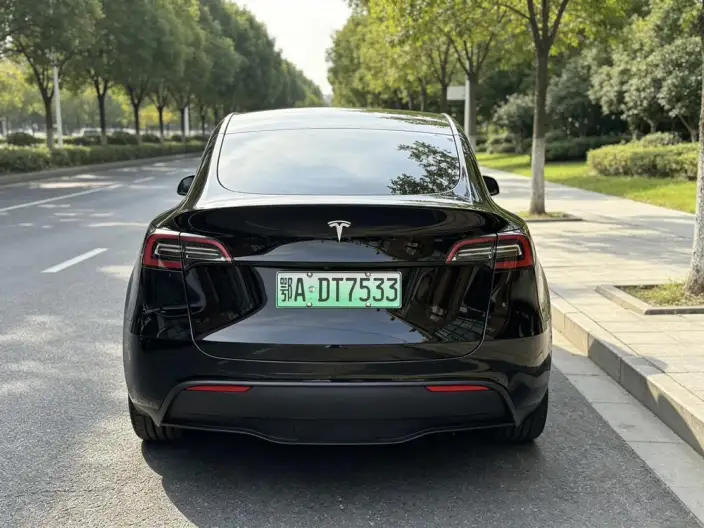 Model Y 2022 Model Facelift Rear-wheel drive version – фото 6
