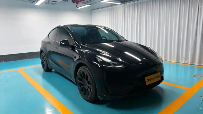 Model Y 2022 Model Rear-wheel drive version – фото 3