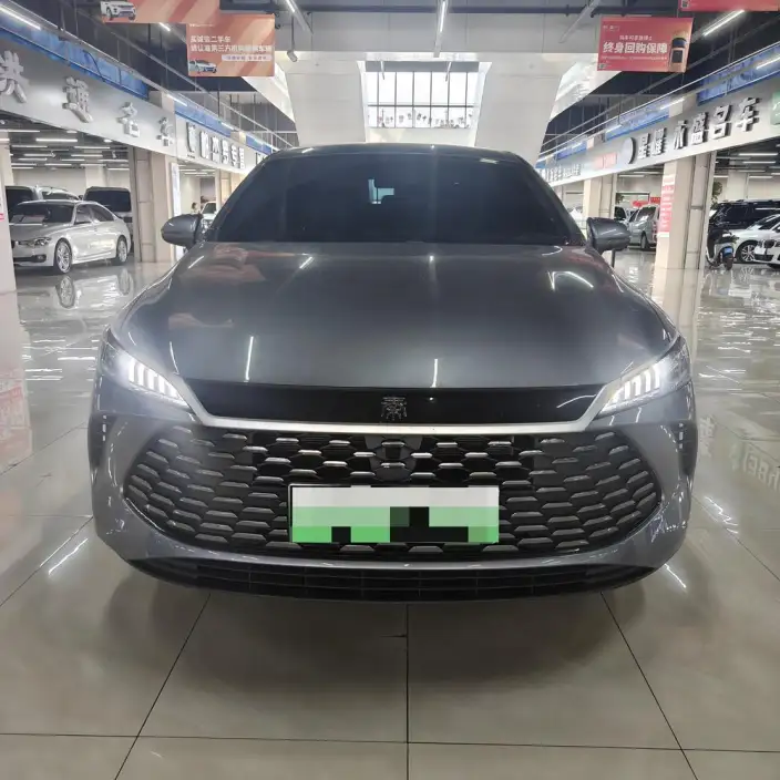 BYD Qin PLUS DM 2025 Model Smart Driving Edition DM-i 55KM Leading Model – фото 2