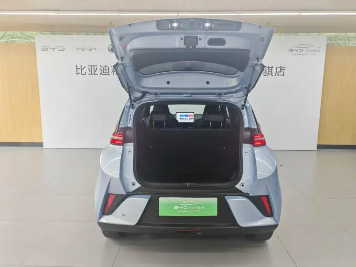BYD Seagull 2025 Model Smart Driving Edition 305KM Free Edition – фото 7