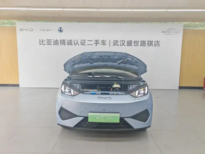 BYD Seagull 2025 Model Smart Driving Edition 305KM Free Edition – фото 8