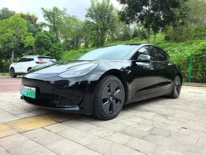 Model 3 2023 Model Rear-wheel drive version – фото 1