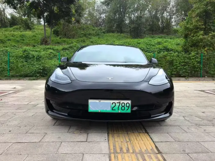 Model 3 2023 Model Rear-wheel drive version – фото 2