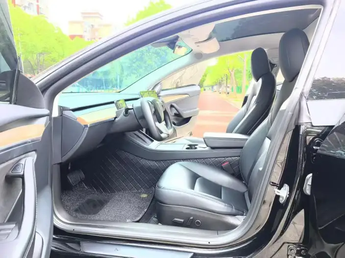 Model 3 2023 Model Rear-wheel drive version – фото 9