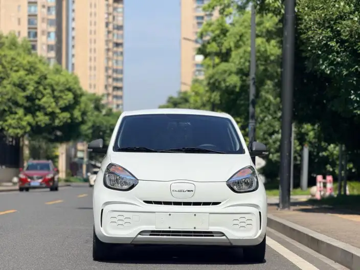 CLEVER 2021 Model 302km Superior Edition