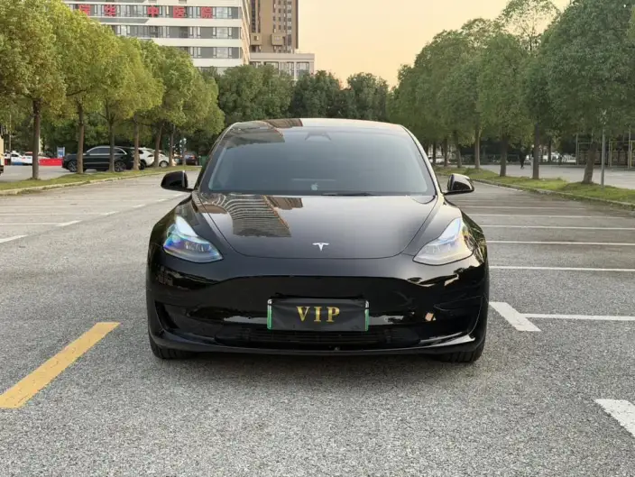 Model 3 2023 Model Rear-wheel drive version – фото 2