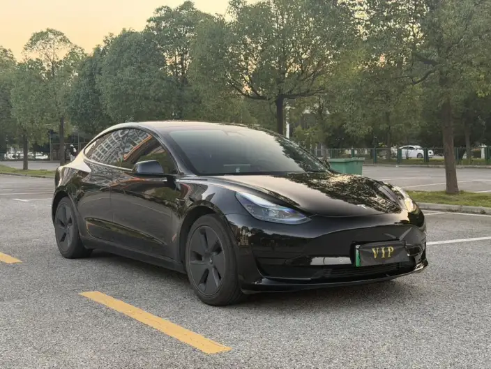 Model 3 2023 Model Rear-wheel drive version – фото 3
