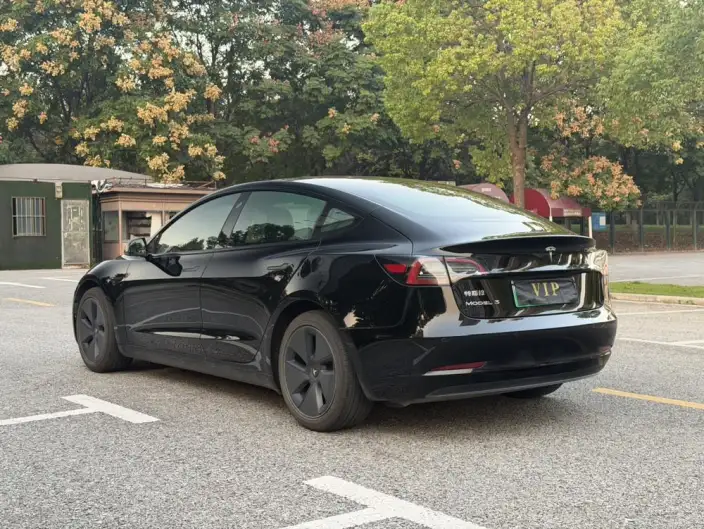 Model 3 2023 Model Rear-wheel drive version – фото 4