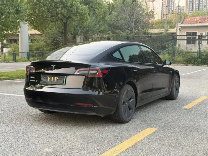 Model 3 2023 Model Rear-wheel drive version – фото 6