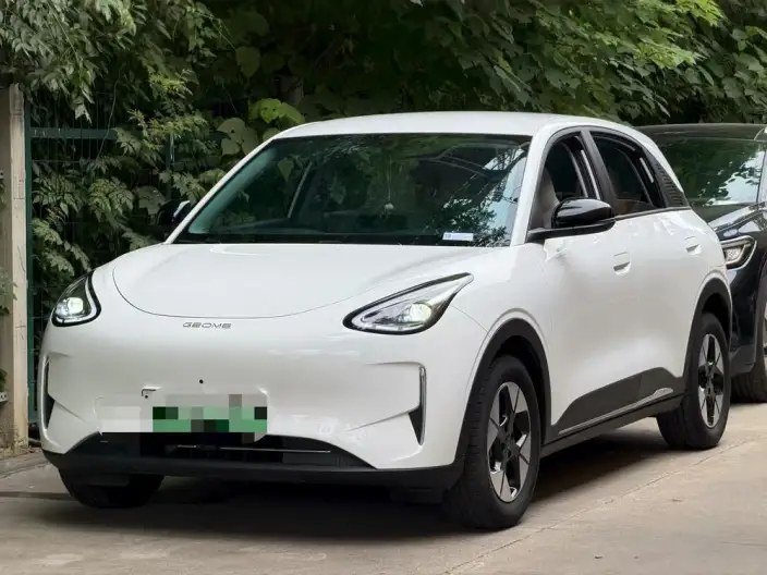 Geely Galaxy StarWish 2025 Model 310km Youth Edition
