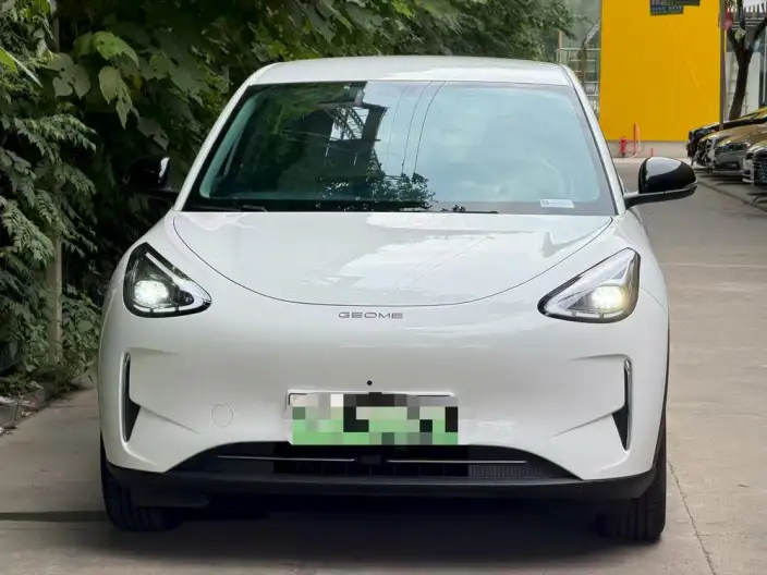 Geely Galaxy StarWish 2025 Model 310km Youth Edition