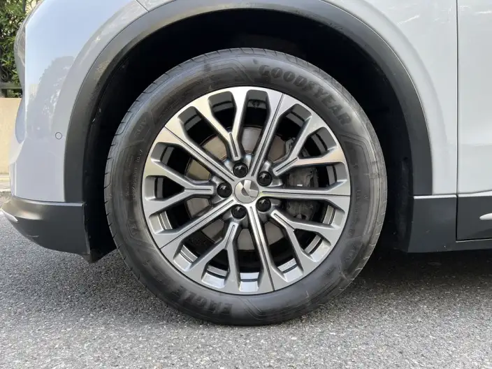 NIO EC6 2024 Model 75kWh – фото 10
