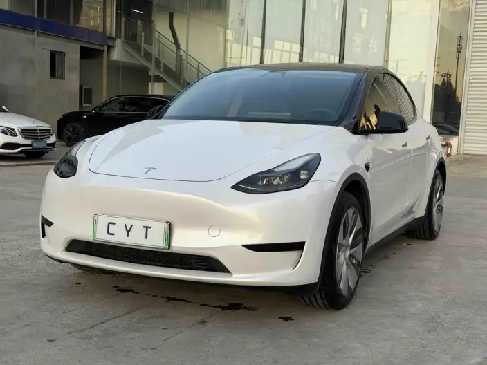 Model Y 2022 Model Rear-wheel drive version – фото 1