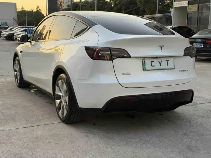 Model Y 2022 Model Rear-wheel drive version – фото 4