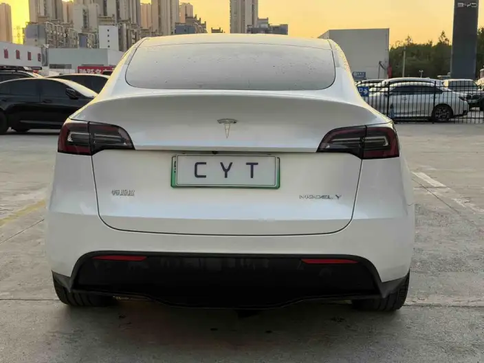 Model Y 2022 Model Rear-wheel drive version – фото 5