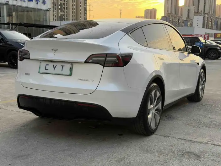 Model Y 2022 Model Rear-wheel drive version – фото 6