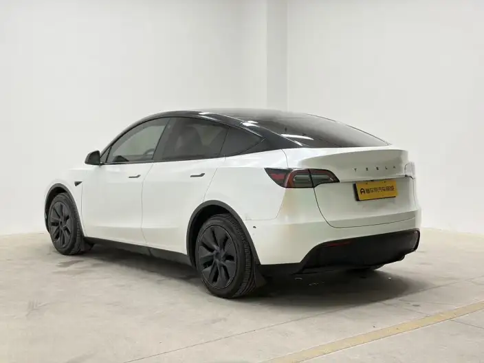 Model Y 2023 Model Long Battery Life Pro All-wheel drive version – фото 5