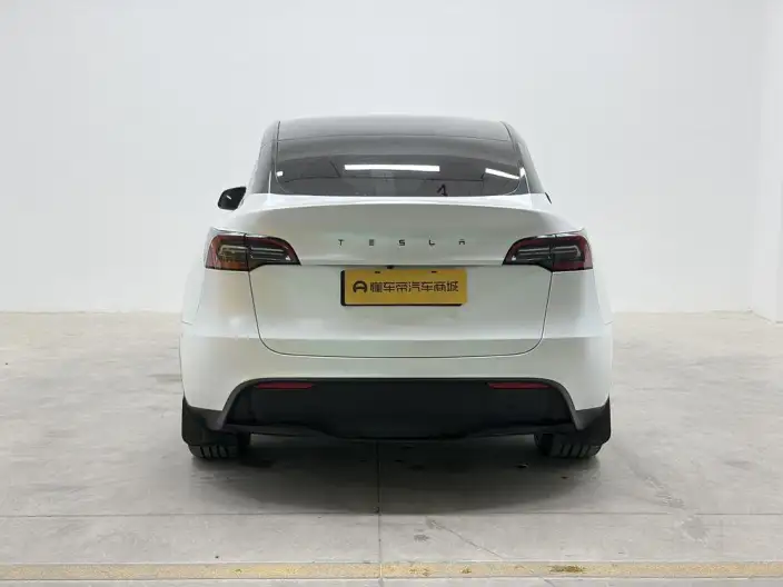 Model Y 2023 Model Long Battery Life Pro All-wheel drive version – фото 6