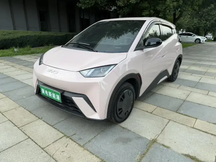 BYD Seagull 2024 Model Honor Edition 305KM Vitality Edition – фото 1