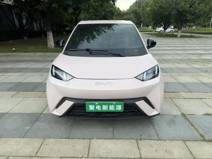 BYD Seagull 2024 Model Honor Edition 305KM Vitality Edition – фото 2