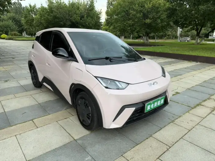 BYD Seagull 2024 Model Honor Edition 305KM Vitality Edition – фото 3
